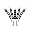 Wheat ears or rice icon. Crop symbol on white background. Design element for bread packaging or beer label. Vector illustration